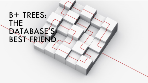 Why Databases Loves B+ Tree