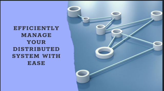 Shared Memory State in Distributed System